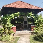 Vikendica Brvnicka Oaza Mir I Priroda Kraj Samca Batkusa